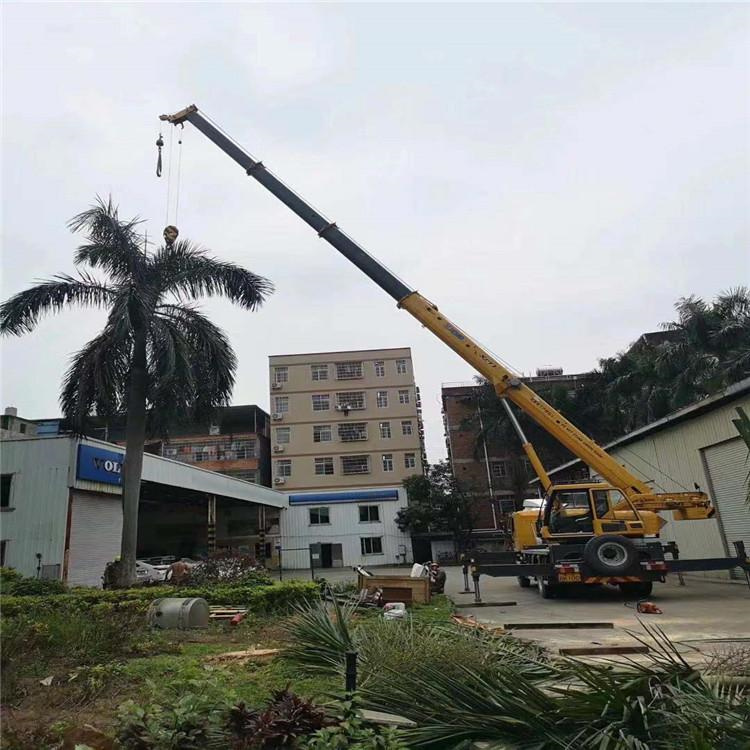 武胜汽车吊出租多少钱？全面解析与市场行情